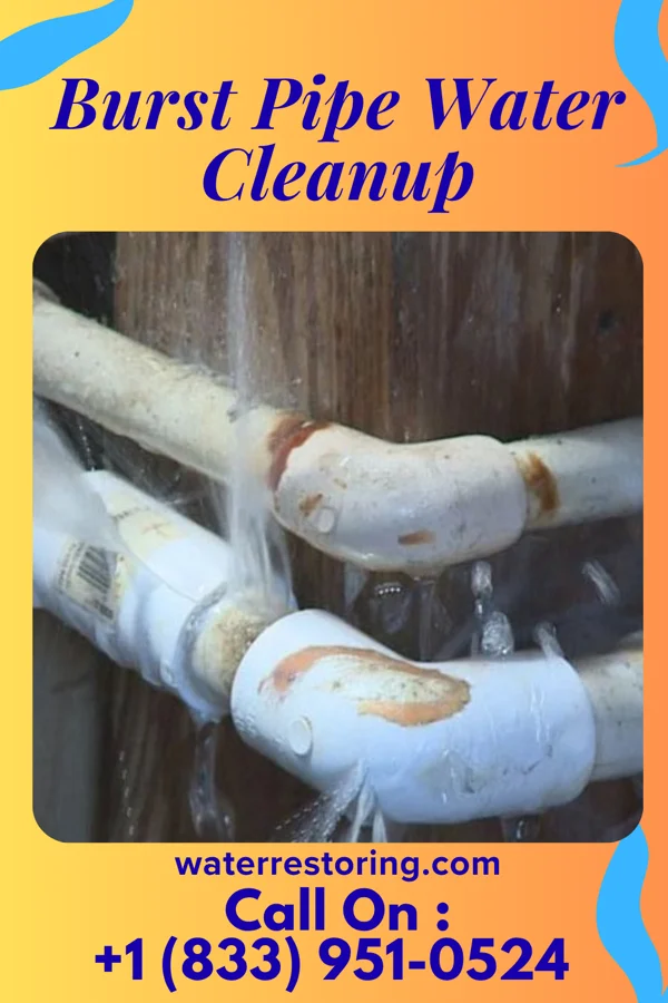 Burst Pipe Water Cleanup in Broadview, IL