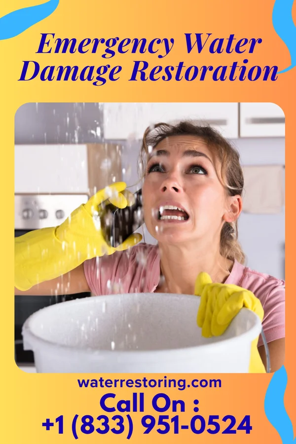 Emergency Water Damage Restoration in Broadview, IL